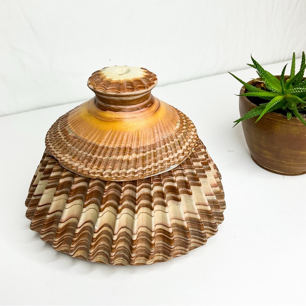 VINTAGE Shell-Inspired Stone Vase with Lid | Coastal Sculptural Décor